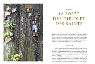 La mémoire des forêts