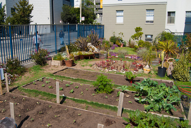 Potager de ville : cultivez vos légumes sur une petite surface