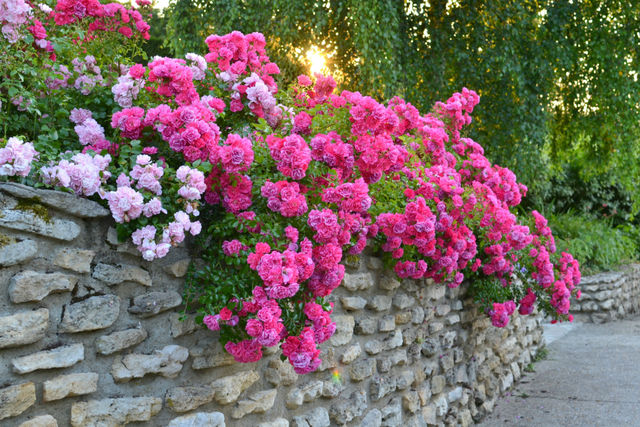 3e prix Trophées Décorosiers 2013