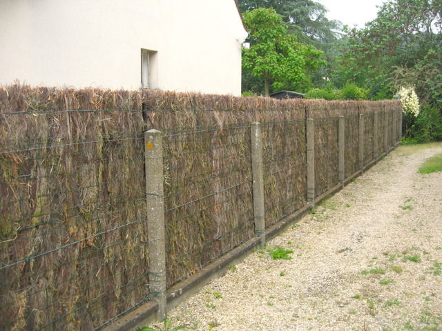 Brande de bruyère : une clôture naturelle au jardin