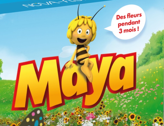 Gamme de graines Maya l'abeille - Nova-Flore