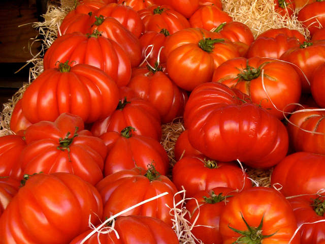 Nouveau viande Tomate sizilian Rosso 10 Graines italienne variété populaire Historiquement