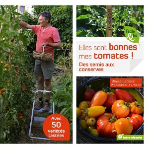 Elles sont bonnes mes tomates