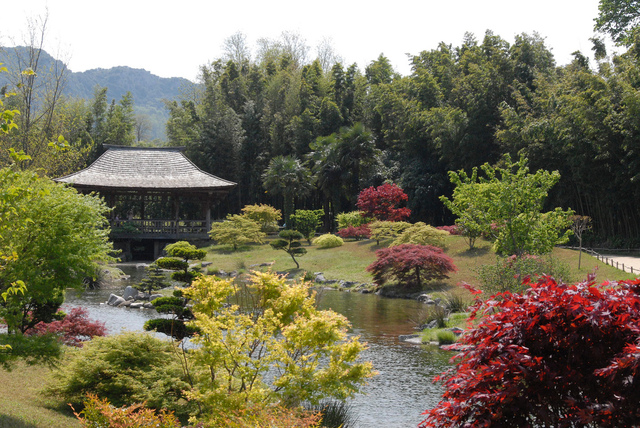 Bambouseraie de Prafrance (Anduze) - Jardin du Dragon