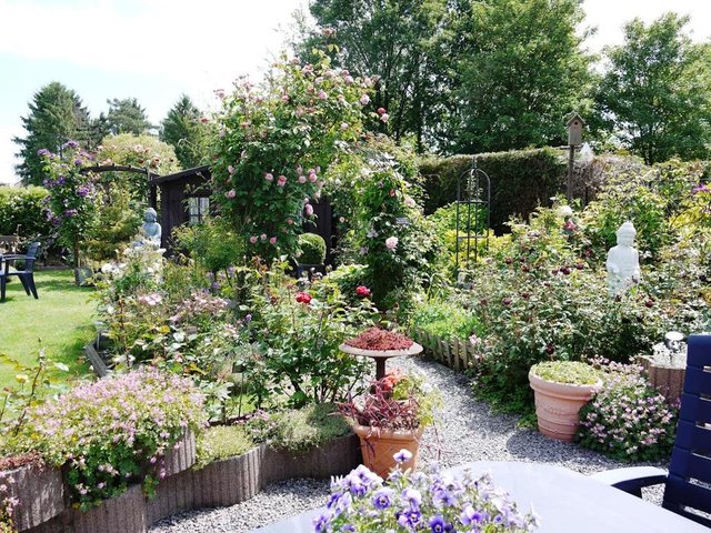 Concours - juin - Michel Swille