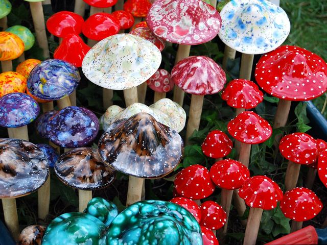 cliquez pour voir la suite Tuteurs champignons