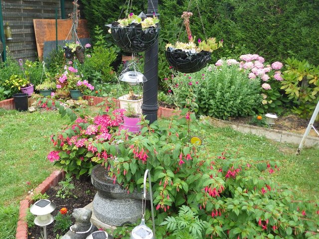 Le jardin de ma grand-mère, un peu brouillon mais beaucoup d'amour.