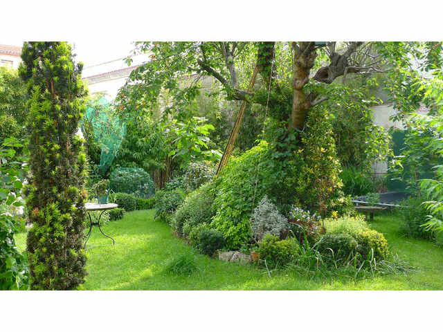 Concours photos - août - jardin de Benoît