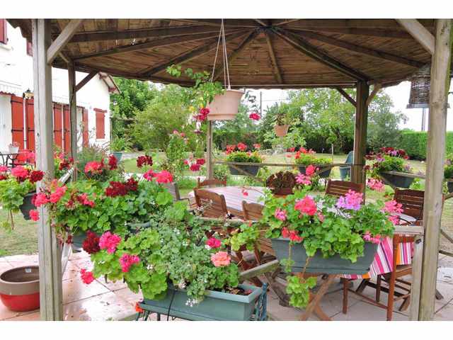 Concours photos - août - jardin de Gilbert