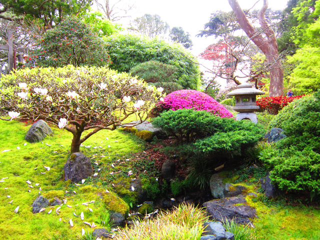Petit jardin zen japonais