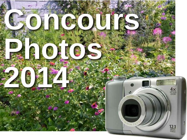 Concours photos - septembre 2014