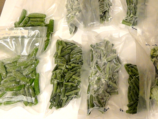 Stérilisation haricots verts : recette conserves (3 étapes)