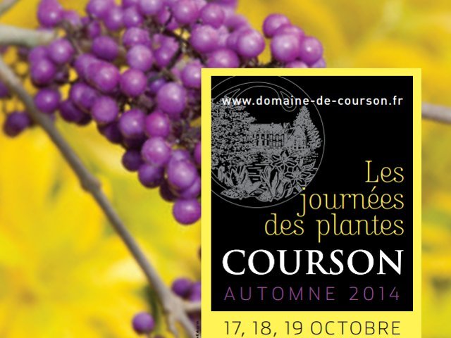 Courson - automne 2014