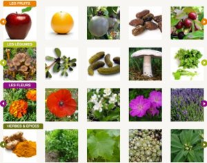 Académie du Fruit et Légume - http://www.academiedufruitetlegume.fr