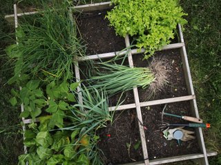Jardin d'Emilie à Grosrouvre (78)
