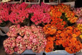 Roses à l'étal d'un fleuriste un 31 décembre à Nice