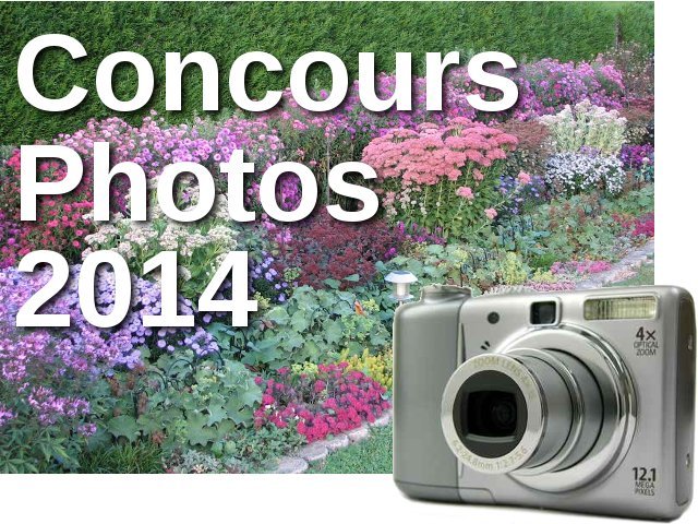 Concours photos : octobre 2014