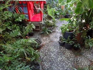 Calades au Jardin de Bésignoles