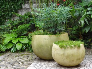 Jardin de Bésignoles : potée