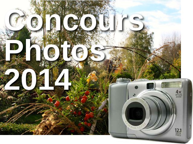 Concours photos - novembre 2014