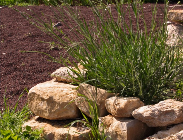 Pouzzolane : paillage, drainage, toutes ses utilisations au jardin