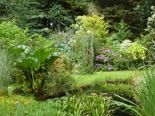 La mare du jardin de Kernévez en été