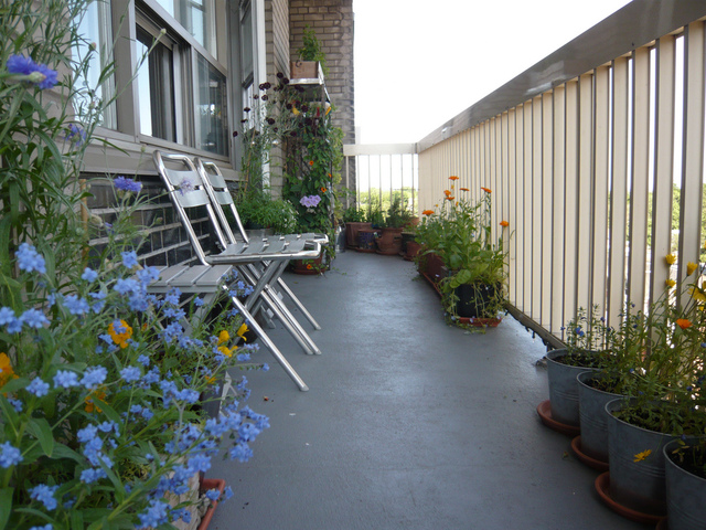 Fleurir un balcon à l'ombre : conseils et sélection de plantes