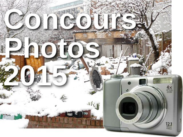 Concours photos : janvier 2015