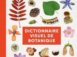 Dictionnaire visuel de botanique