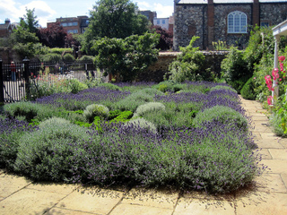 planter un jardin aromatique