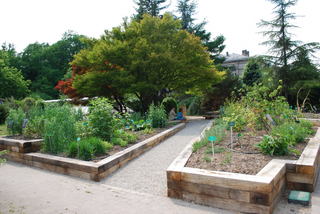 Parcelles du Jardin botanique de l'Université de Strasbourg