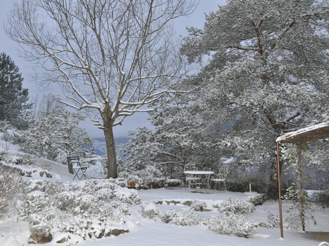 Concours photos : jardin d'Annie en décembre