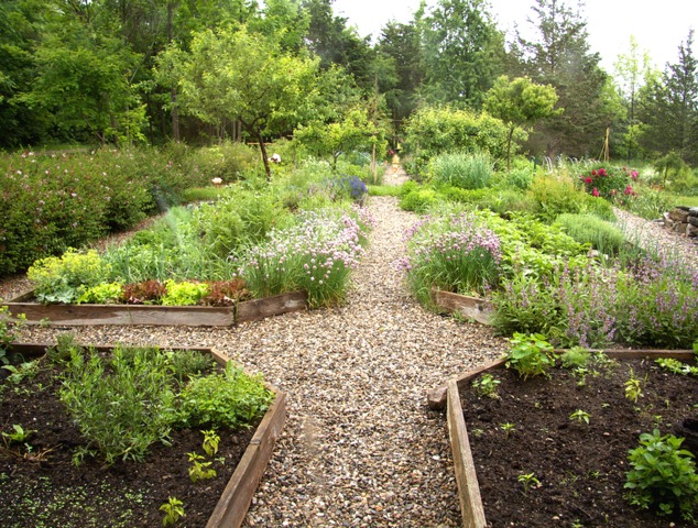Aménager un carré d'herbes aromatiques - Mon jardin d'idées