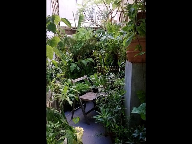 Concours photo : jardin de Simon en janvier