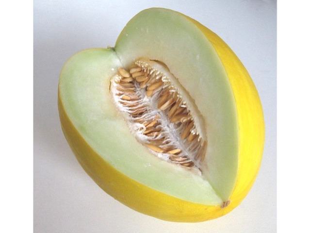 Variétés de melons : jaune, vert, galia et charentais brodé