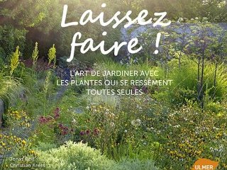 Laissez faire !