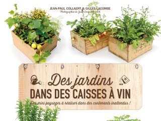 Des jardins dans des caisses à vin