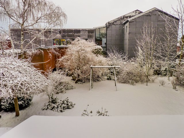 Mon jardin en janvier