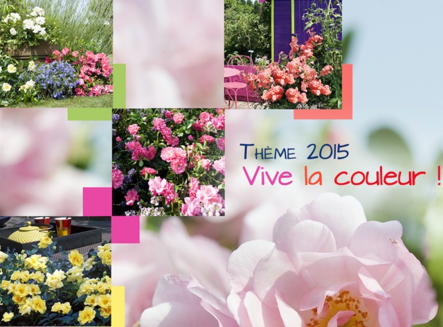 Concours Trophées Décorosiers 2015