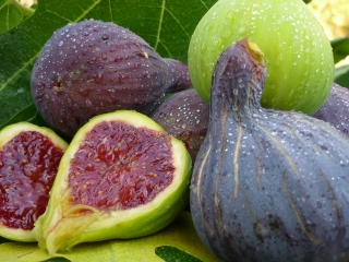 Figues violettes