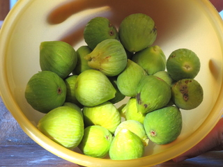 Figues blanches