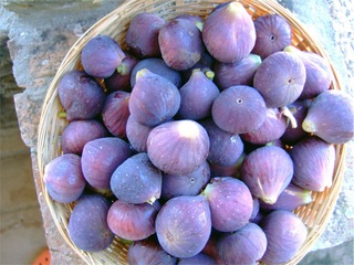 Figues