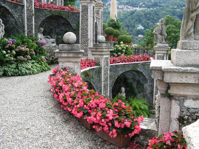 cliquez pour voir la suite Bégonias, hortensias et topiaires de buis