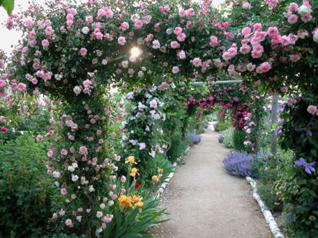 Jardin de Morailles