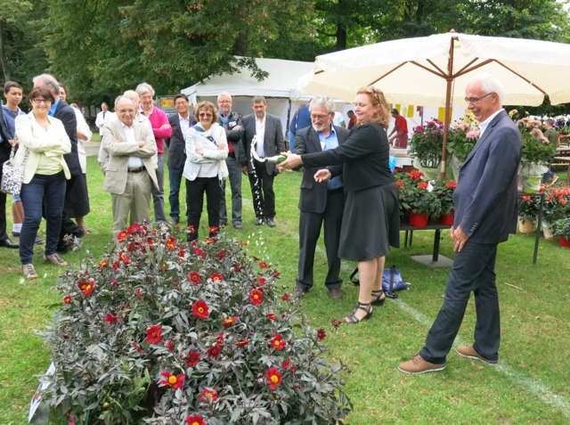 Baptême du dahlia 'A la Folie'