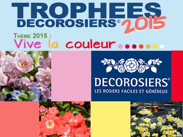 Trophées décorosiers 2015 - Vive la couleur 