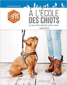 A l'école des chiots