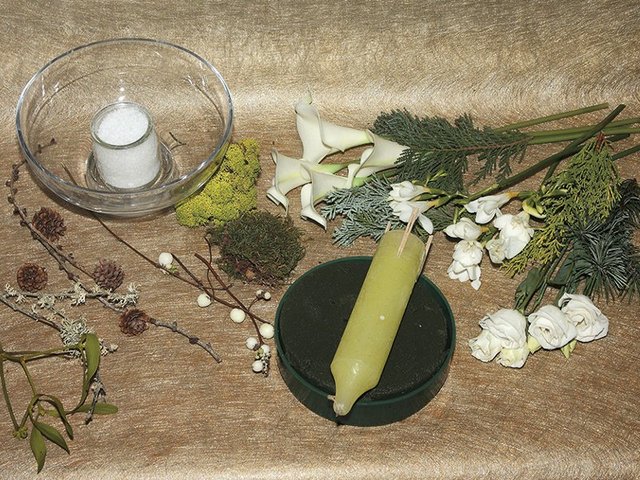 Matériel et végétaux