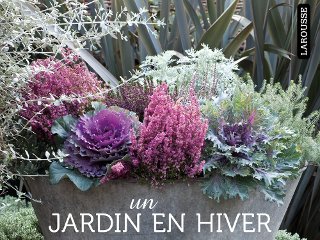 Un jardin en hiver