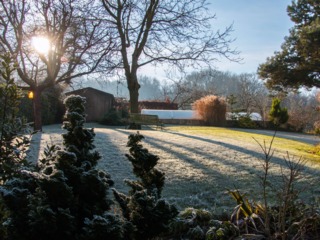 Jardin gelé un matin d'hiver